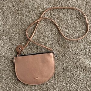 Zac Posen purse